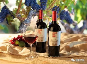 鐘愛(ài)葡萄酒的你,一定不會(huì)錯(cuò)過(guò)這些國(guó)際葡萄品種