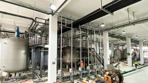 耗資20億的哈佛“長生不老藥”NMN工廠落戶寧波余姚，是科學突破還是網(wǎng)絡工程？